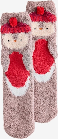 Next Socks in Purple: front