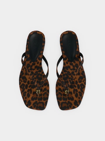 Tongs 'Maliyah' STEVE MADDEN en marron