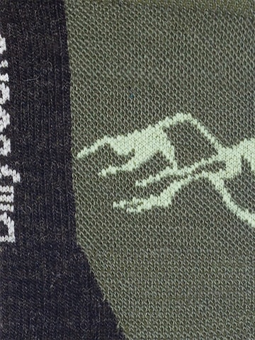 Chaussettes de sport 'Active Merino ' DillySocks en vert