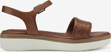 TAMARIS Sandals in Brown