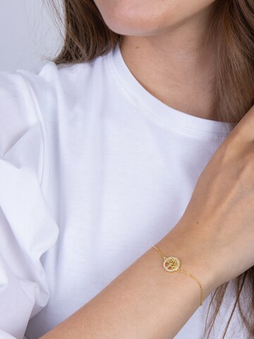 Joanli Nor Armband 'Caianor' in Gold