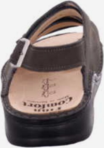 Finn Comfort Sandals in Brown