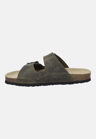 JOSEF SEIBEL Sandal 'Josef 01' in Green
