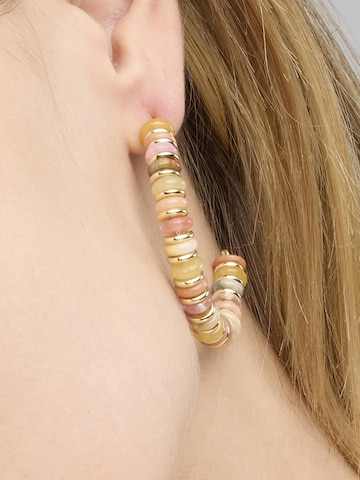 Luxenter Earrings 'Onisu' in Mixed colors