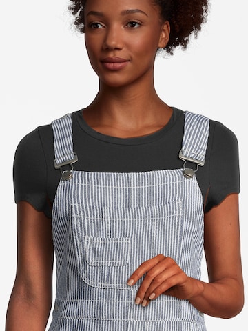 AÉROPOSTALE Overall Skirt in Blue