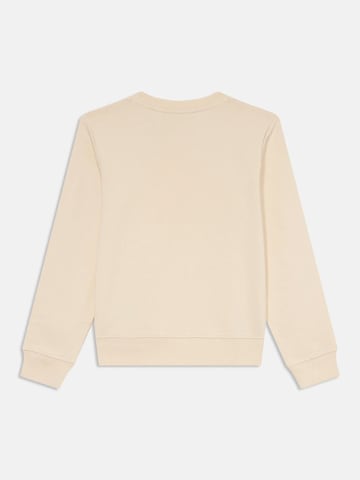 Calvin Klein Pullover in Weiß