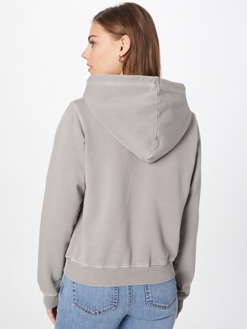 DIESEL Sweatshirt 'REGGY' in Grey