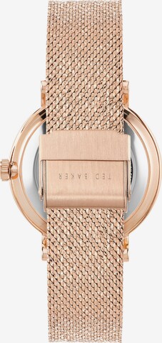Ted Baker Uhr 'Phylipa' in Gold