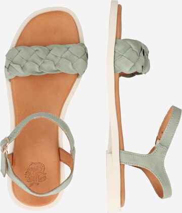 Apple of Eden Strap sandal 'Alma' in Green