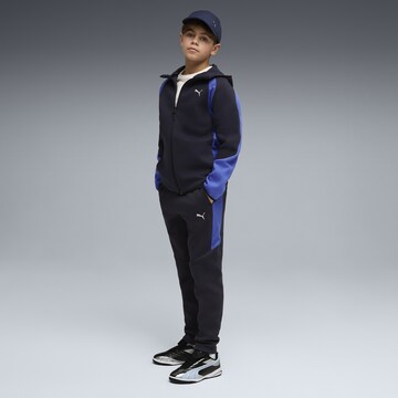 PUMA Regular Trousers in Blue