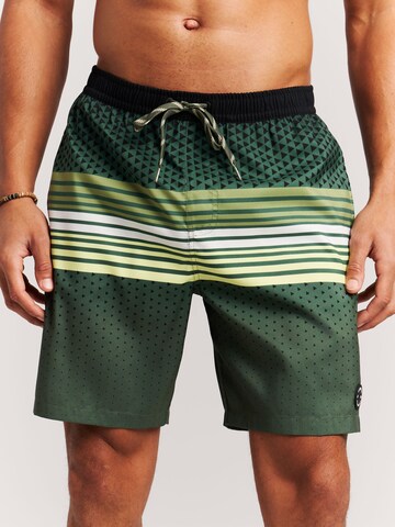 PROTEST Board Shorts 'PRTLatika' in Green