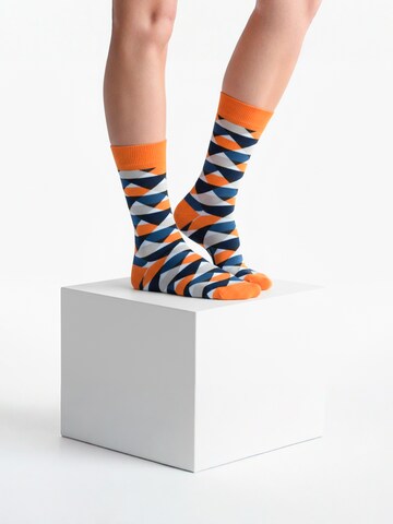 Chaussettes 'GAEA EDITION Gift box 4 Pack Unisex' The Arctic Bay en mélange de couleurs