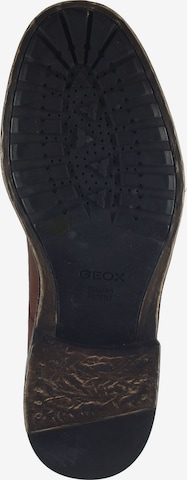 Chaussure à lacets GEOX en marron
