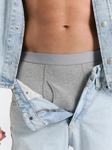 Albero Natur Boxer shorts in Grey