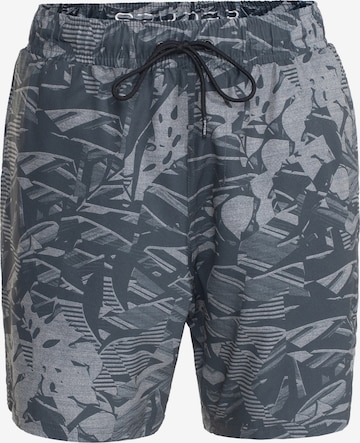 Spyder Swimming Trunks in Grey: front