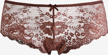 LASCANA Boyshorts in Brown: front