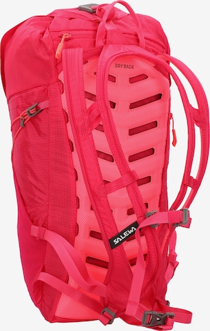 SALEWA Sports Backpack 'Ultra Train 22' in Red