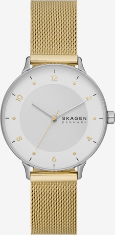 SKAGEN Analoog horloge 'Riis' in Goud: voorkant