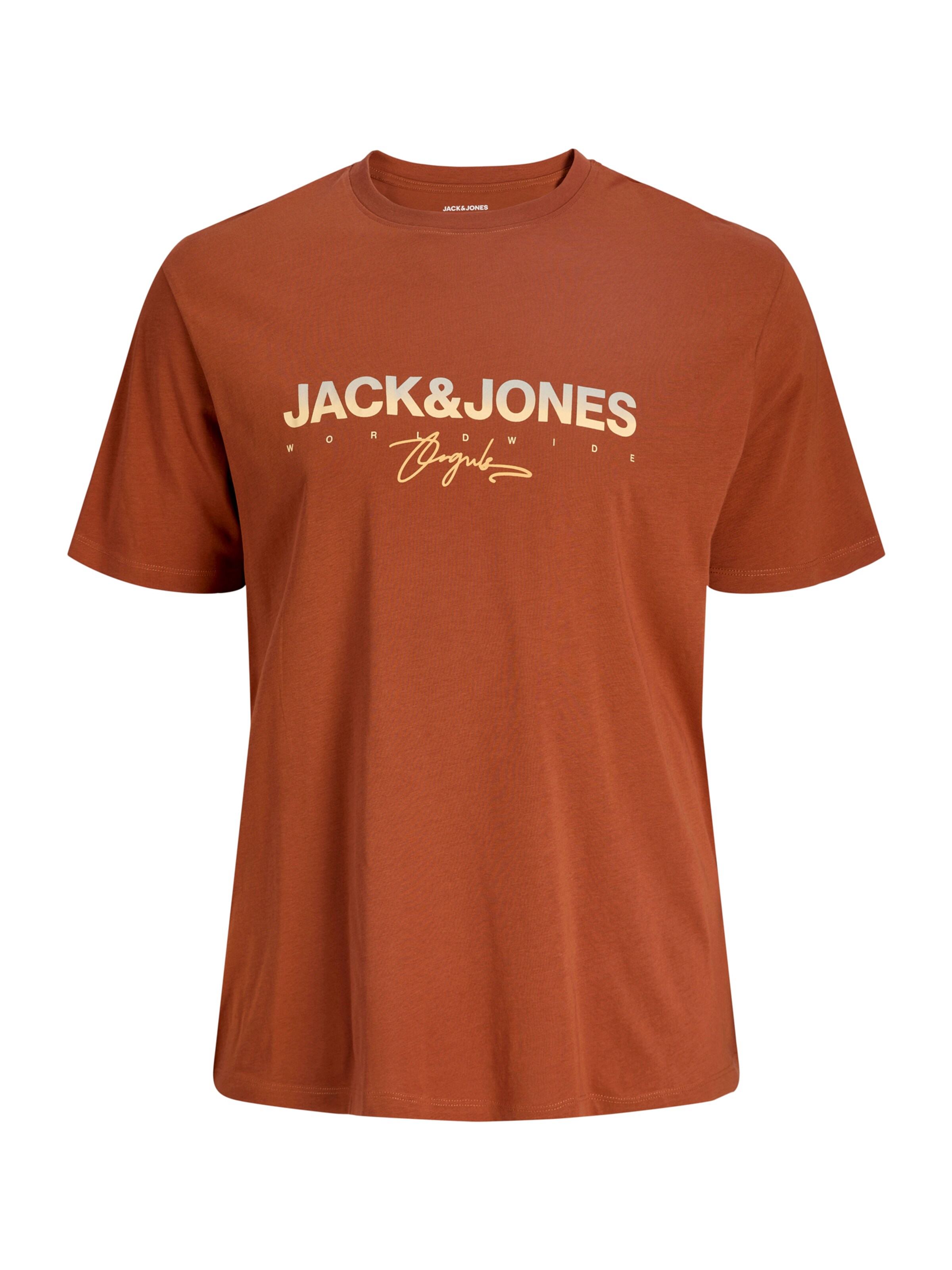 Jack & Jones Plus Shirt 'JORCANGGU' in Brown: front
