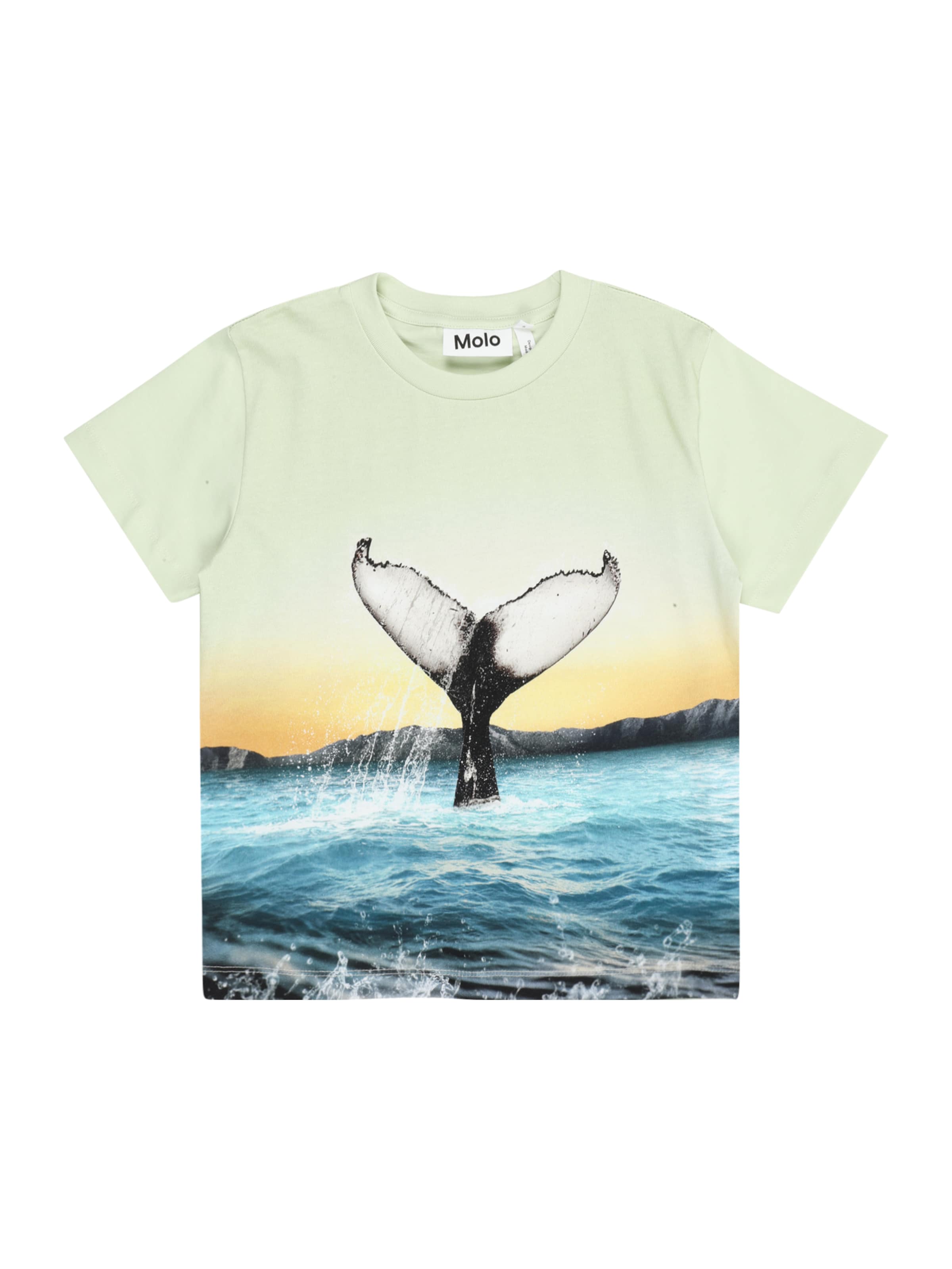 Molo Paita 'Rame' värissä vihreä: etupuoli