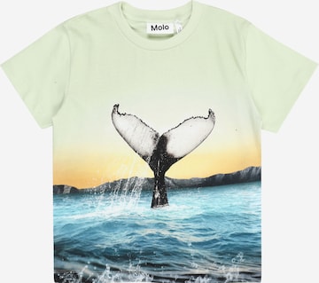 Molo Majica 'Rame' | zelena barva: sprednja stran