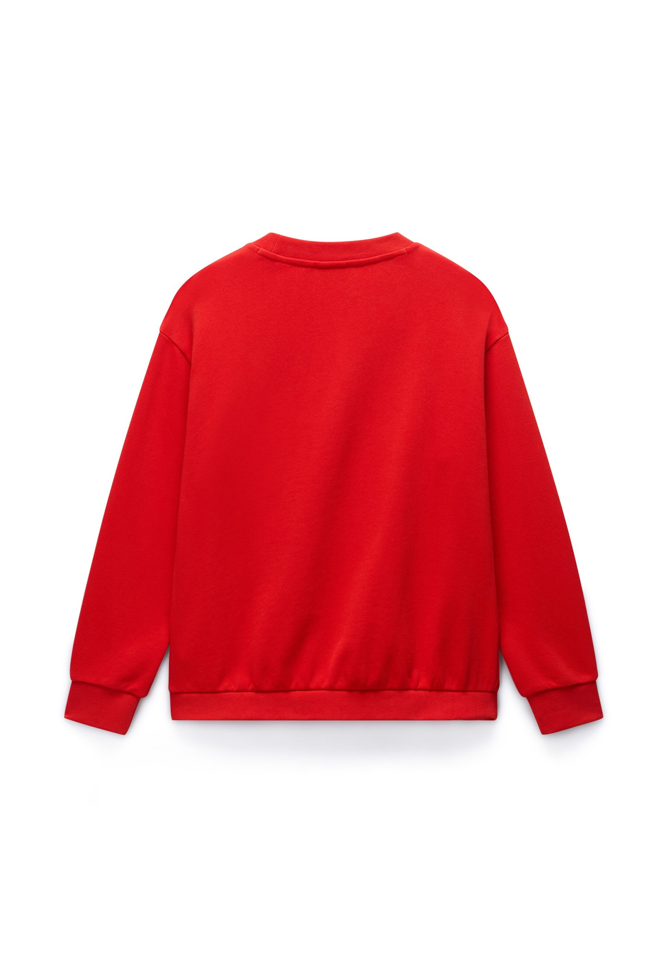 NAPAPIJRISweater majica 'ANTIMONY' - crvena boja: stražnji dio