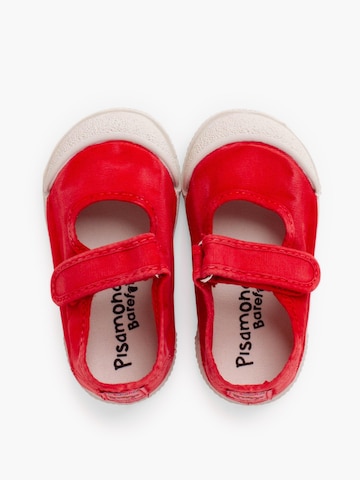 Pisamonas Ballerina‌‌‌ in Rot