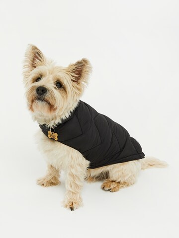 Threadbare Hundejacke in Schwarz