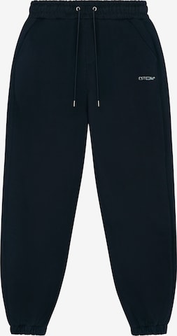 Pantalon ' Essential 2.0 ' ESTEEM en bleu : devant