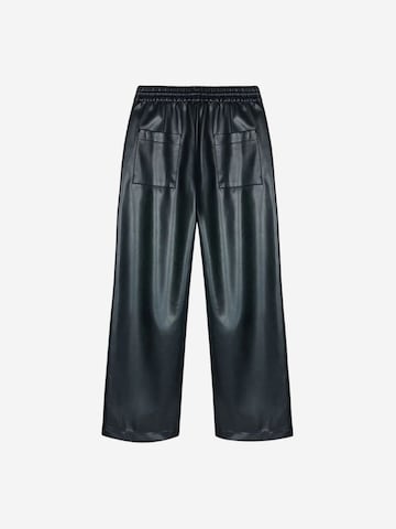 Wide Leg Pantalon Dilvin en noir