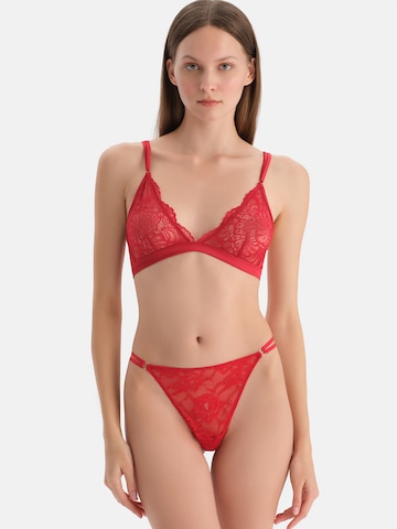 Dagi Стринги в Красный: спереди