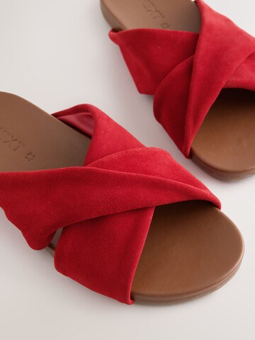 Next Mule in Red