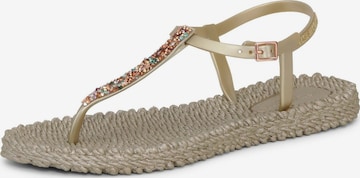 ILSE JACOBSEN T-bar sandals 'Cheerful10M' in Gold: front