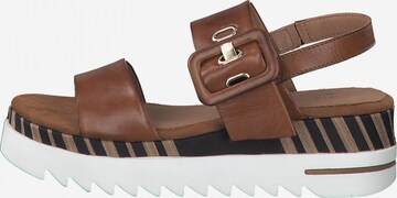 MARCO TOZZI by GUIDO MARIA KRETSCHMER Sandal in Brown