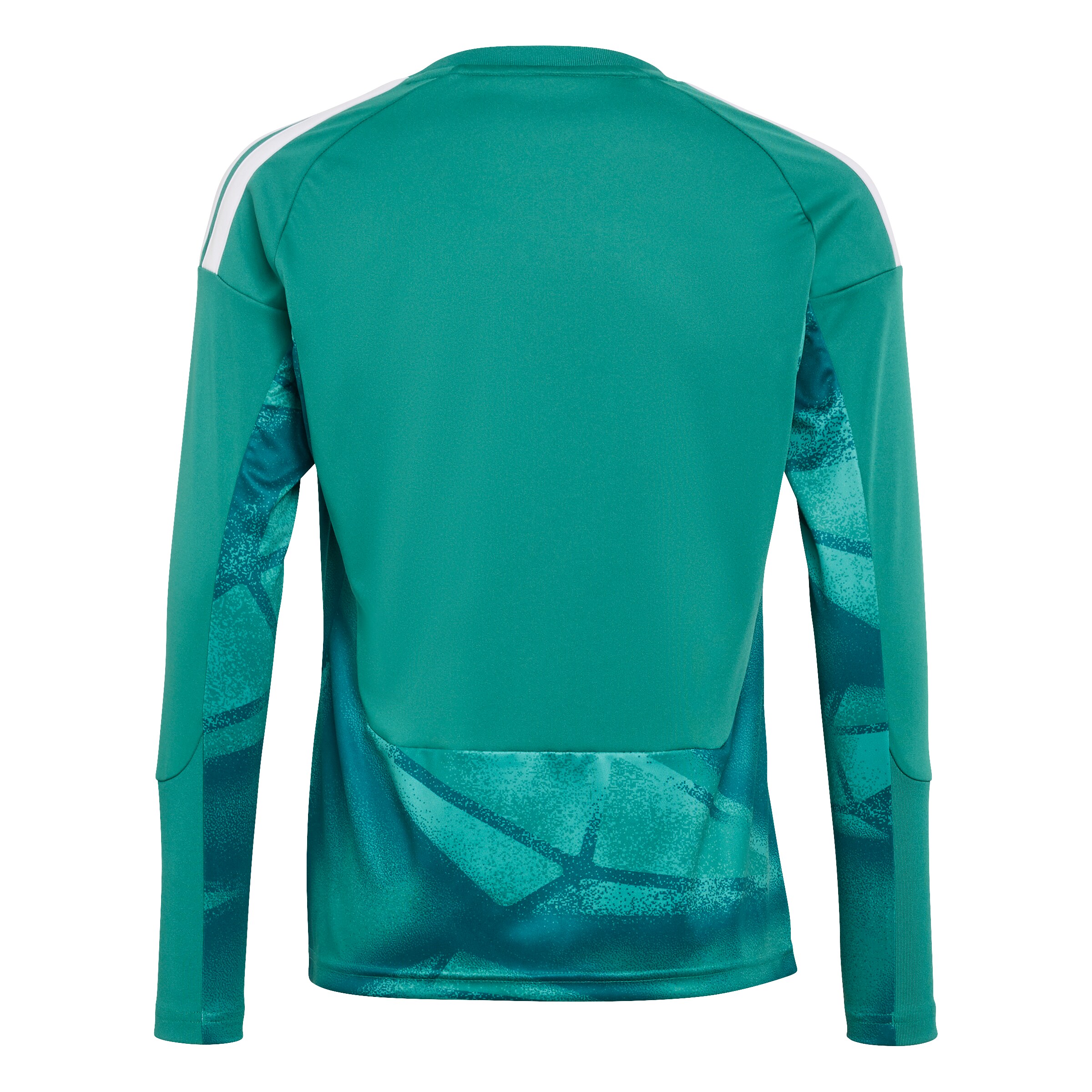 T-Shirt fonctionnel 'DFB H GK JSY' ADIDAS PERFORMANCE en vert