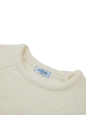 Sailing Sweater in White