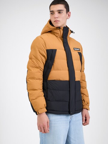 Giacca invernale di TIMBERLAND in marrone: frontale