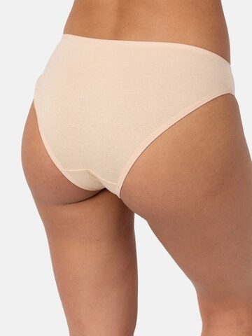 Tazzio Panty 'F900' in Mixed colors