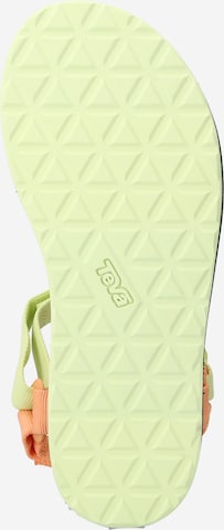 TEVA Sandal i blandade färger