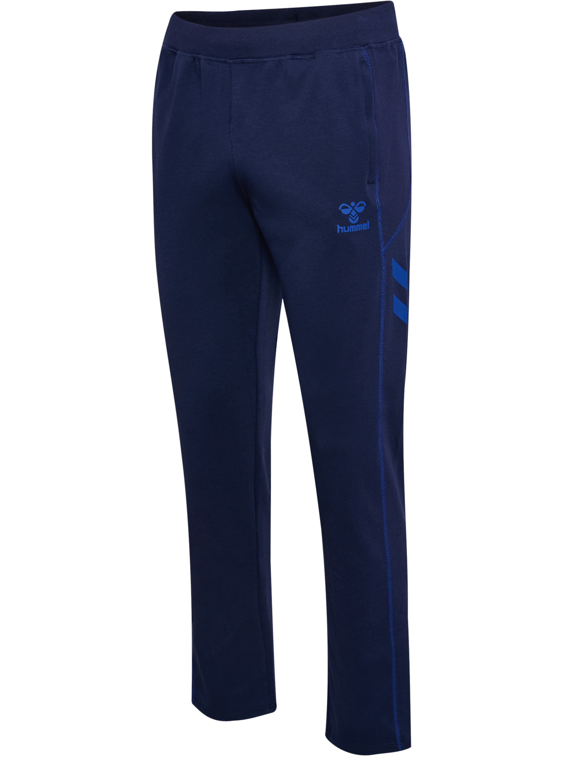 Hummel Regular Sporthose 'Move 2.0' in Blau