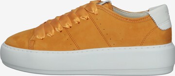 Sneaker bassa di BRAX in arancione