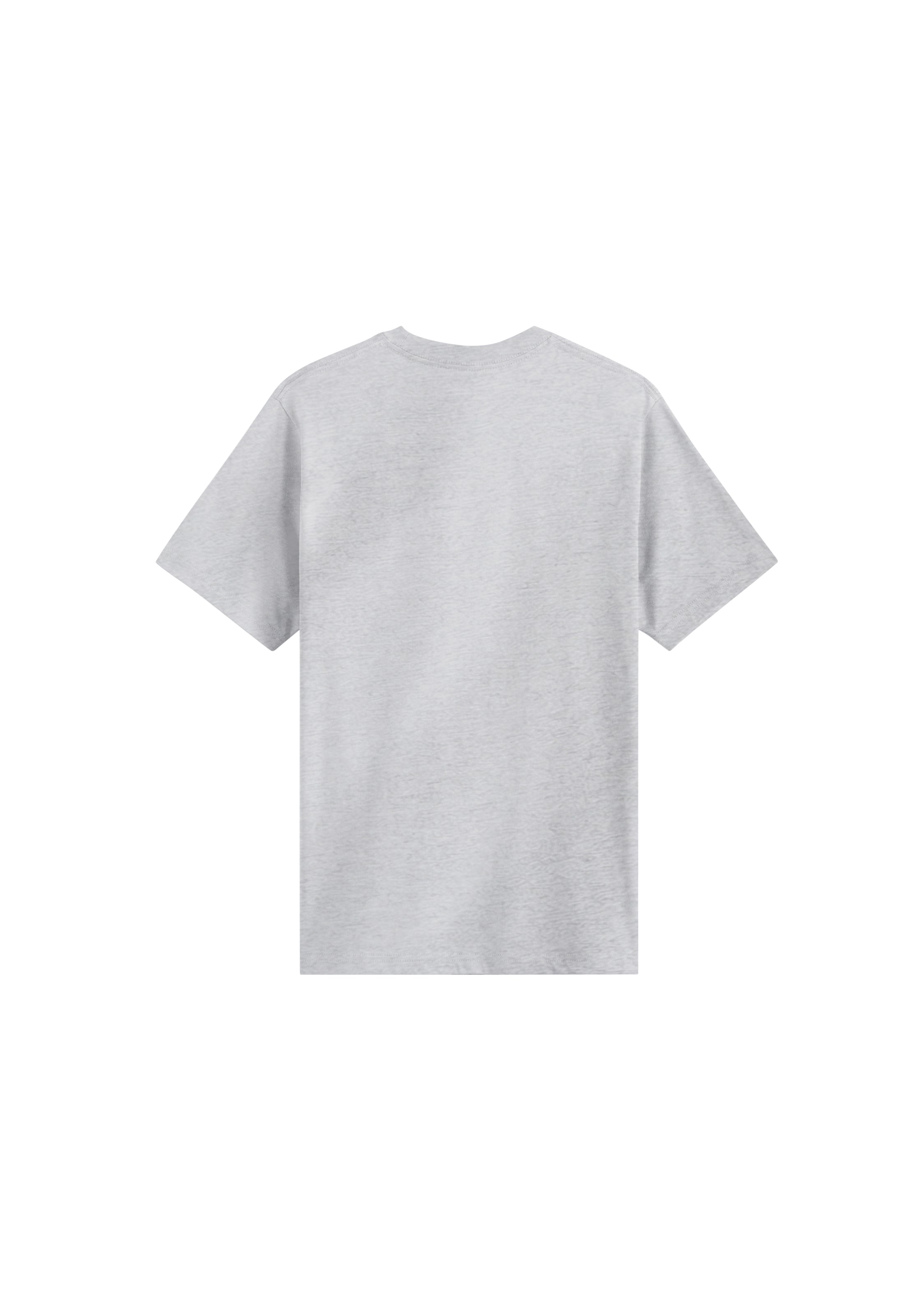 VANS Shirt in Grey