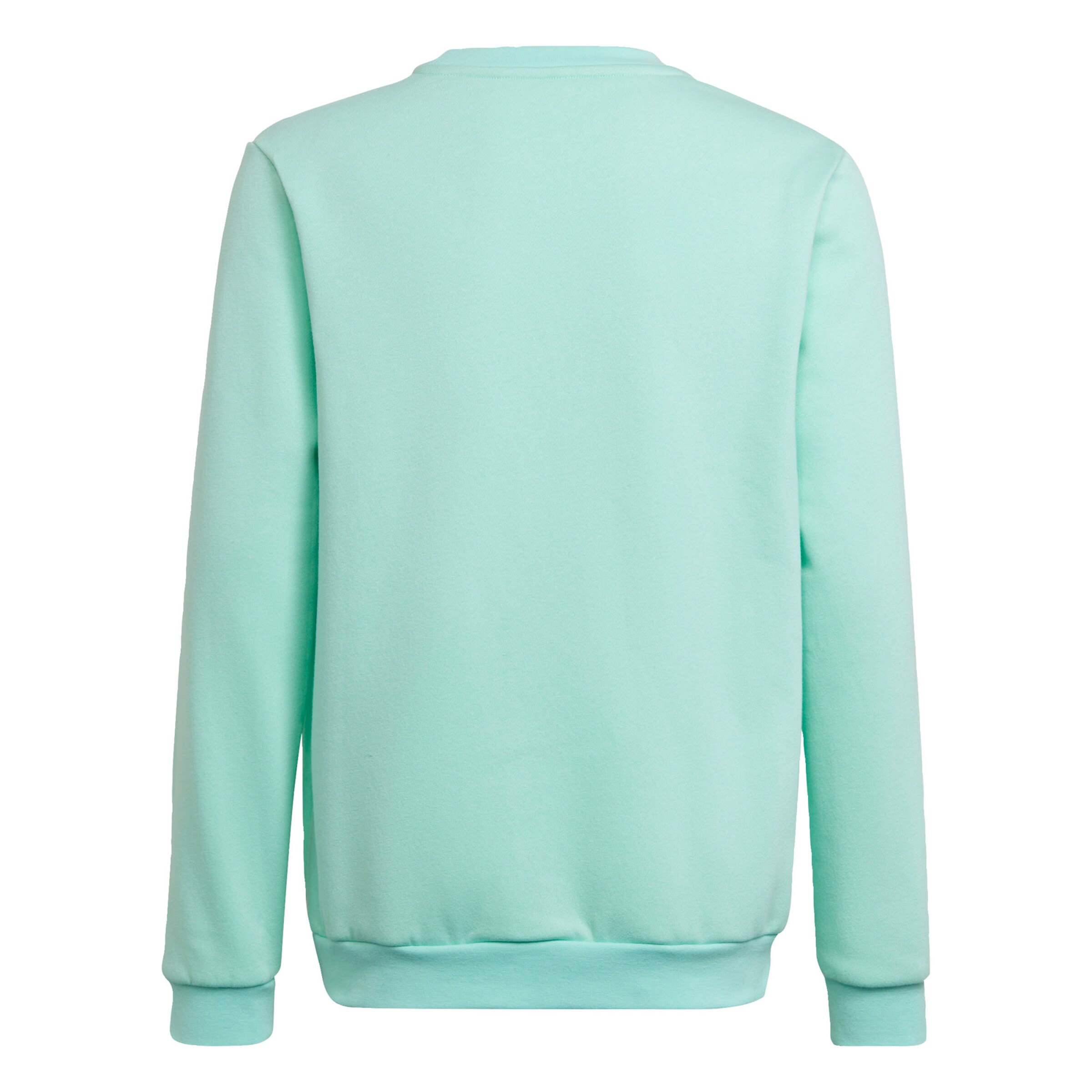ADIDAS PERFORMANCE Sportief sweatshirt 'Entrada 22' in Blauw: voorkant