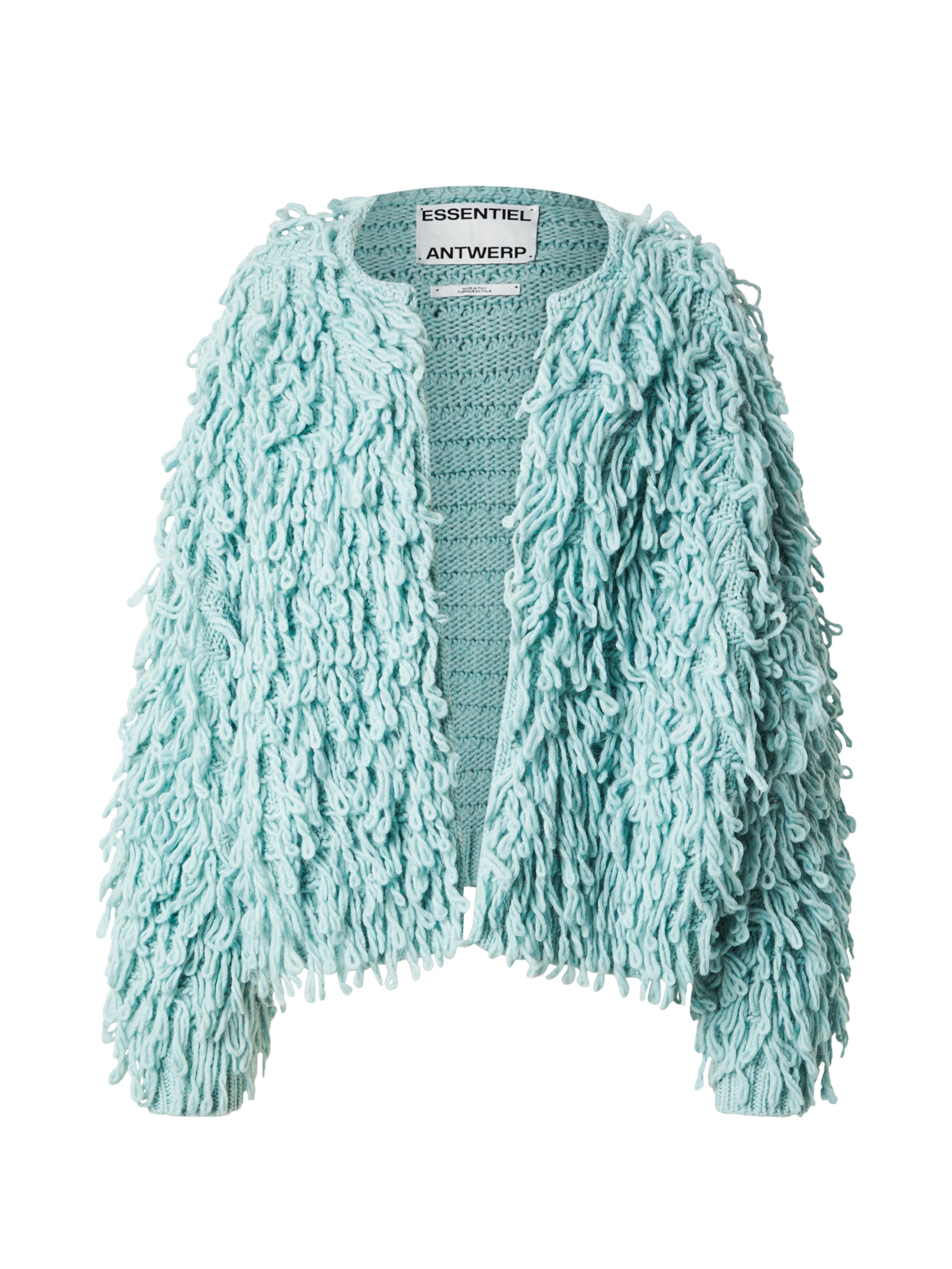 Essentiel Antwerp Strickjacke 'Hinwood' in Grün: Vorderseite