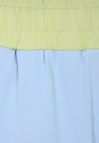 usha BLUE LABEL Wide leg Pants in Blue