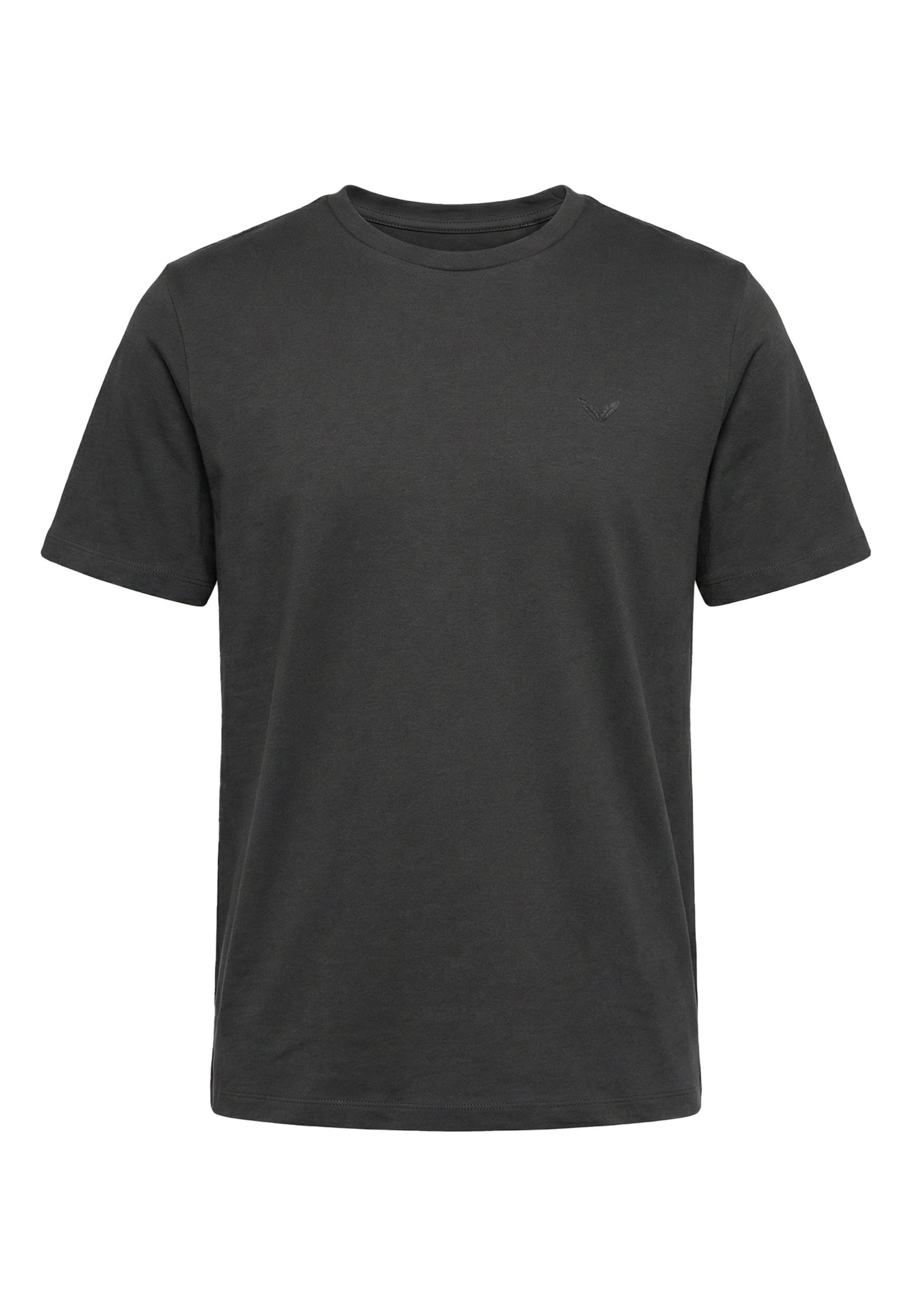 Kleinigkeit Shirt in Grijs: voorkant