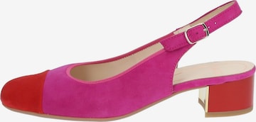 ARA Pumps in Roze