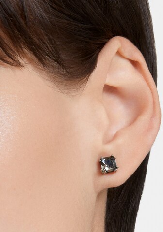 Swarovski Earrings in Grey