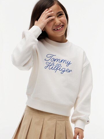 TOMMY HILFIGER Sweatshirt in Beige