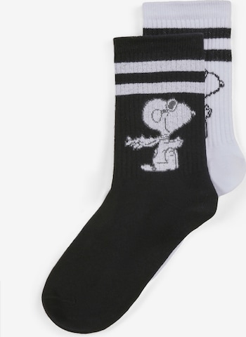 CODELLO Socken in Schwarz: Vorderseite